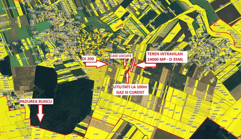 Dascalu teren 14000mp   comision 0%  intravilan